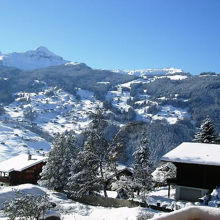 Appartement 11 *